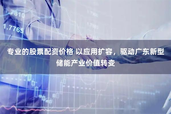 专业的股票配资价格 以应用扩容，驱动广东新型储能产业价值转变